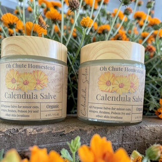 Calendula Salve